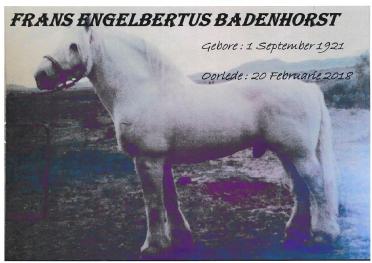 BADENHORST-Frans-Engelbertus-Nn-Badie-1921-2018-M_2