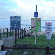 20230518_Albatross beach_Jeffreys Bay_Eastern Cape_2