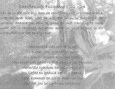 BESTER-Francoís-1955-2014-M_97