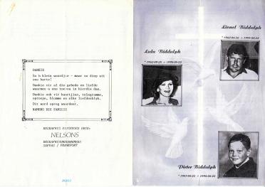 BIDDULPH-Pieter-1987-1998-M