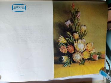 BILJON-VAN-Susanna-Johanna-nee-Nel-1893-1980-F-101