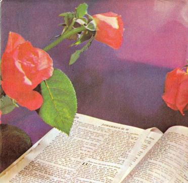 BLAAUW-Jan-Hendrik-1913-1991-M_01