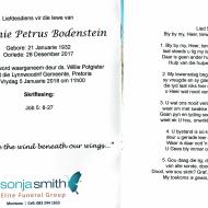 BODENSTEIN-Antonie-Petrus-1932-2017-M-2