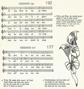 BOOYSE-Johannes-Petrus-1953-1988-M_99