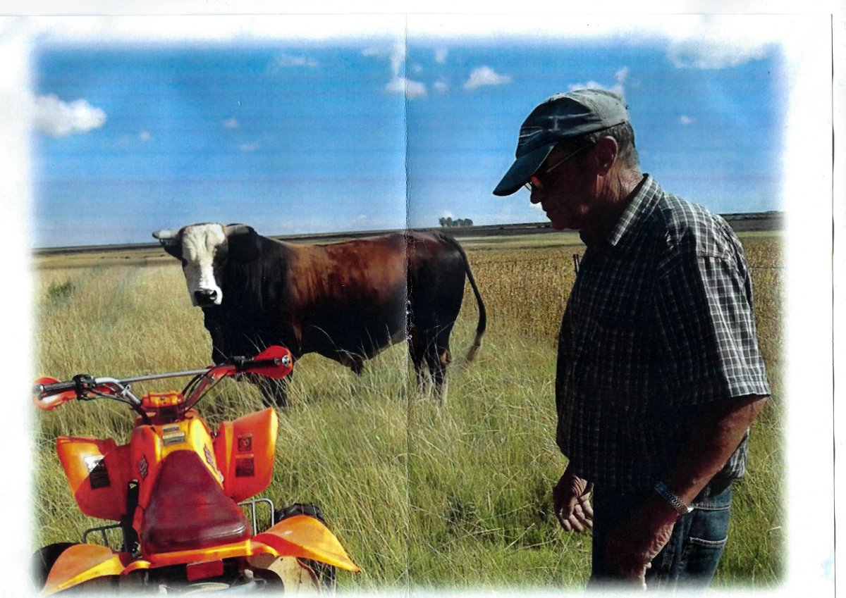 BOOYSEN-Francois-Alwyn-1949-2019-M_03
