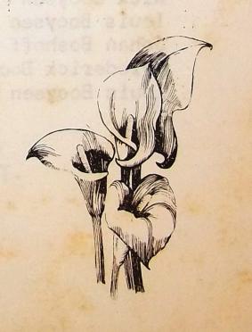 BOOYSEN-Frederick-Jacobus-Zacharias-1927-1973-M_99