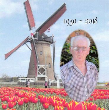 BOS-VAN-DEN-Surnames-Vanne