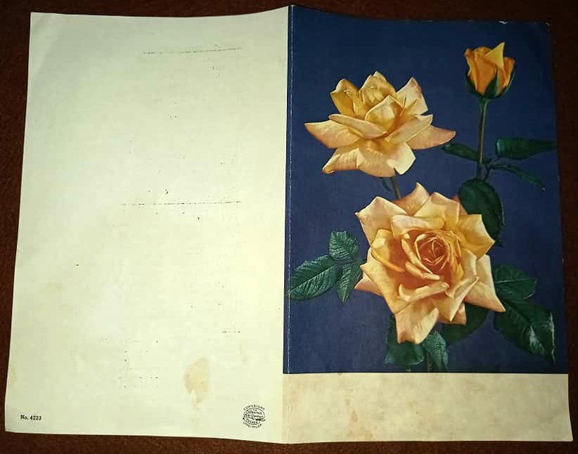 BOTHA-Catharina-Maria-1906-1981-F_1