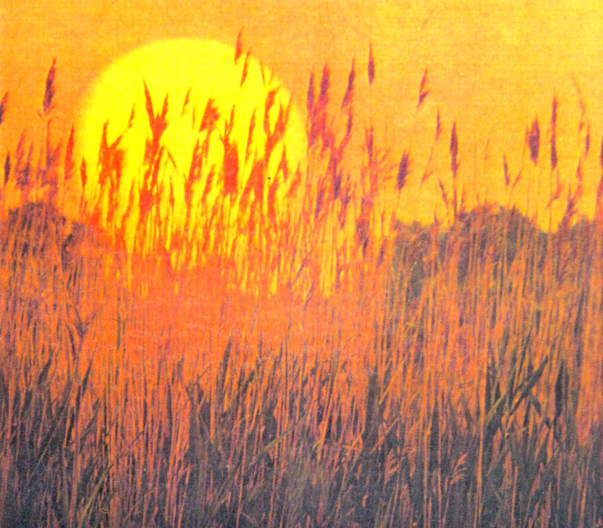 BOTHA-Cornelius-Johannes-Nn-Tiny-1933-1997-M_01