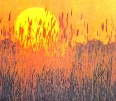 BOTHA-Cornelius-Johannes-Nn-Tiny-1933-1997-M_01