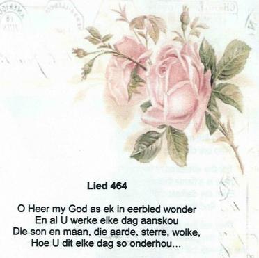 BRUNSDON-Reneé-1946-2017-F_99
