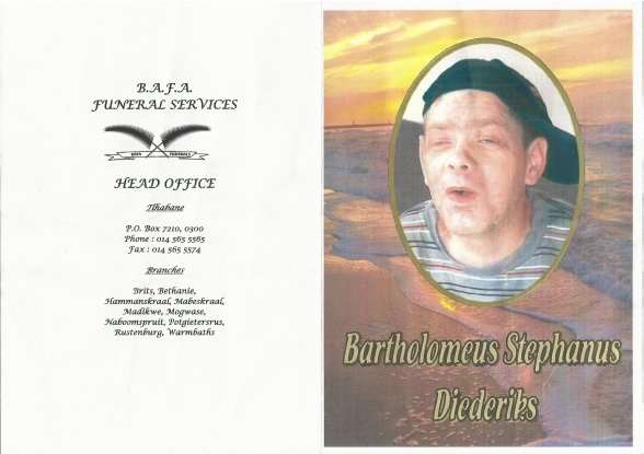 DIEDERIKS-Bartholomeus-Stephanus-1969-2013-M_01