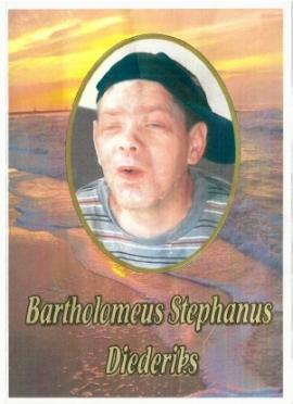 DIEDERIKS-Bartholomeus-Stephanus-1969-2013-M_99