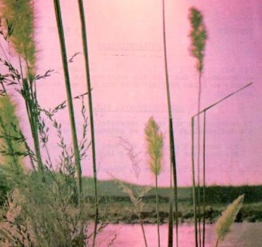 ELS-Jan-Christoffel-1928-1978-M_1