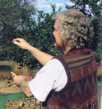 ERASMUS-Daniel-Matthys-Nn-Danie-1949-2015-M_97