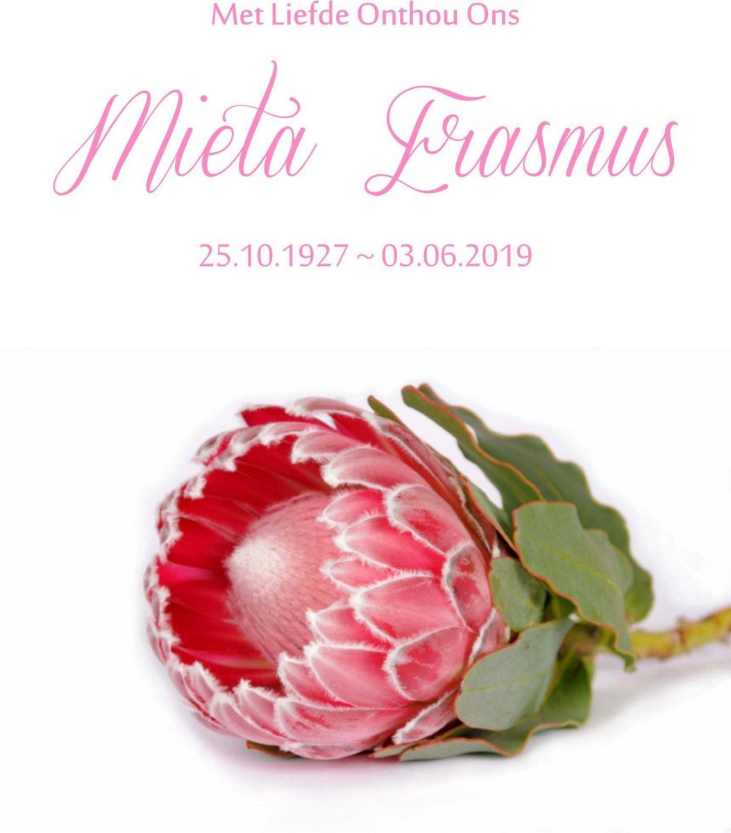 ERASMUS-Mieta-1927-2019-F_1