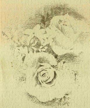 FAURIE-Josephus-Daniel-Lourens-1906-1996-M