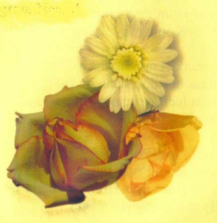 GELDENHUYS-Mara-1934-2008-F_103