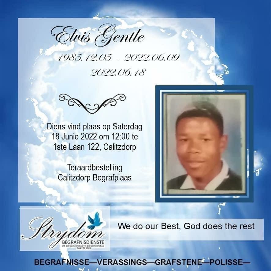 GENTLE-Elvis-1985-2022-M_1
