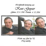 GEYSER-Koos-1940-2006-M_1