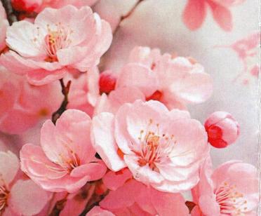 GOUS-Grace-Eileen-Nn-Grace.OumaGrace-1935-2024-F_96