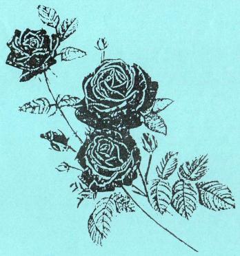 GRONUM---GRÖNUM-Surnames-Vanne