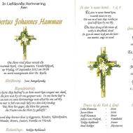 HAMMAN, Albertus Johannes 1964-2012_02