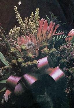 HAMMES-Aletta-Frederika-nee-Slabbert-1911-1991-F_2