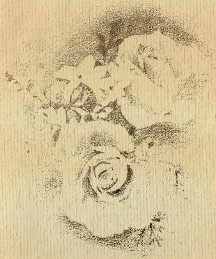 HEEVER-VAN-DER-Eliza-Johanna-1919-1996-F_01