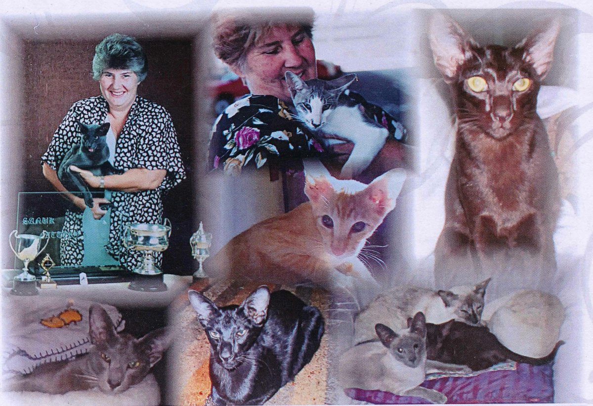 HOFFMAN-Heidrun-Nn-Heidi-nee-Rudolph-1940-2019-F_97