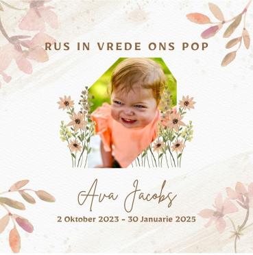 JACOBS-Ava-2023-2025-F-2