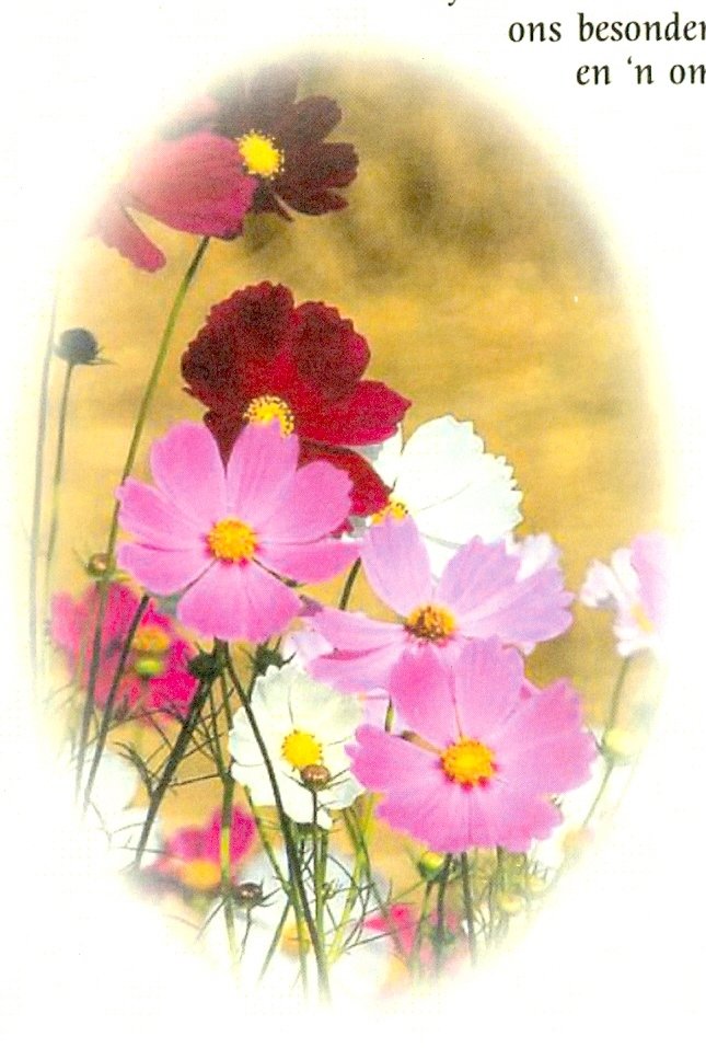 JACOBS-Vonna-1937-2013-F_99