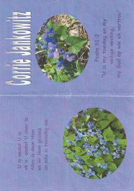 JANKOWITZ-Surnames-Vanne