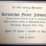JOHNSTONE-Bernardus-Pieter-1844-1914_2