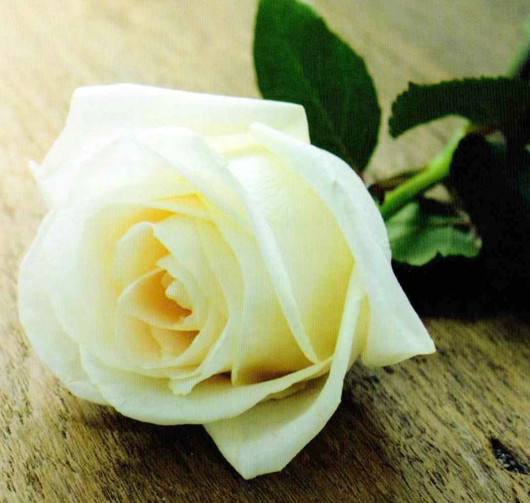 KAALSEN-Frederik-Johannes-1941-2019-M_1
