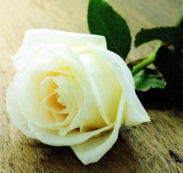 KAALSEN-Frederik-Johannes-1941-2019-M