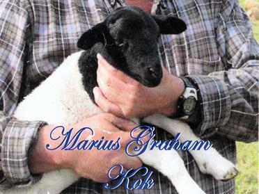 KOK-Marius-Graham-Nn-Marius-1964-2013-M_02