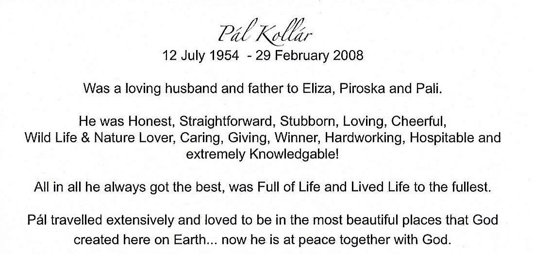 KOLLÁR-Pál-1954-2008-M_98