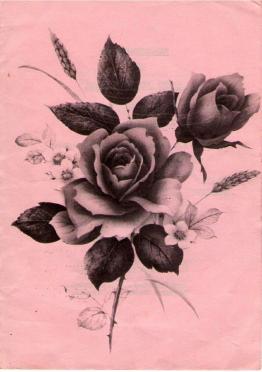 KRUGER-Rozetta-Elizabeth-1919-1980-F