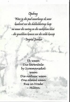 LAING-Rebecca-Nn-Kleintjie-née-Roodt-1934-2015-F_2.2