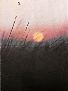 LAUBSCHER-Hans-Jurgens-1921-1985-M_2