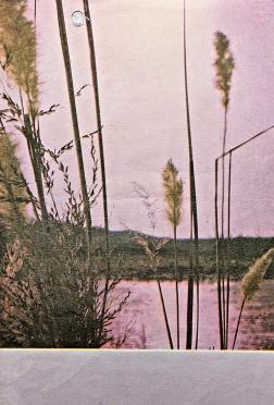 LAUBSCHER-Johannes-Frederick-1893-1977-M_3