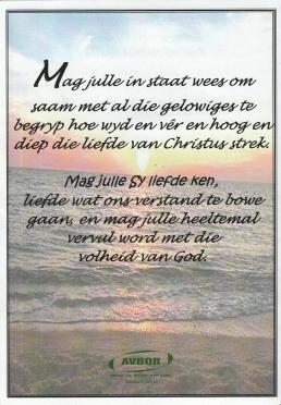 LUBBE-Tristan-Theuns-Nn-Tristan-2011-2019-M_8