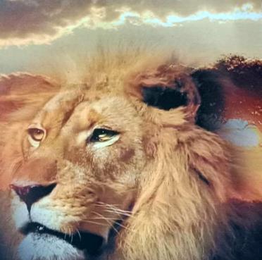 MERWE-VAN-DER-Johan-George-Nn-Koos-1961-2015-M_05