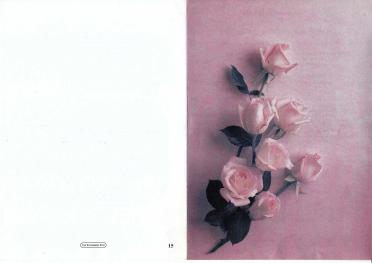 MERWE-VAN-DER-Maria-Magdalena-Nn-Babs-1937-2002-F