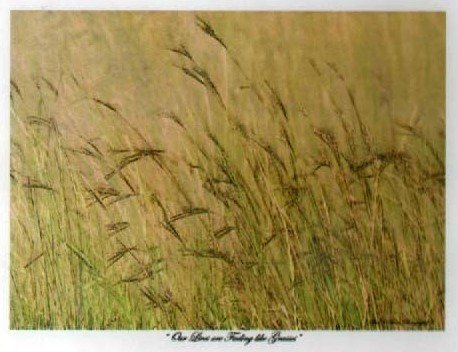 MEYER-Jan-Abram-Nn-Jan.Kiewiet-1934-2018-M_3