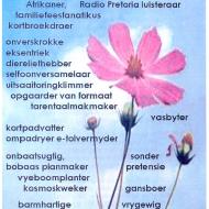 NAUDE-Joseph-Henry-Meiring-Nn-Meiring-1929-2014-M_98