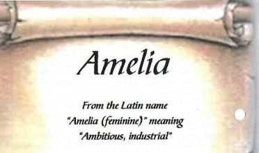 NEL-Amelia-Jacoba-Nn-Amelia-1940-2026-F_98
