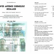 NIEMANN-David-Antonie-Cornelius-Nn-David-1983-2016-M_2