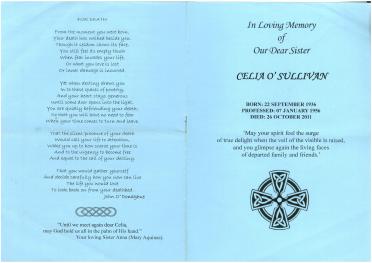 oSULLIVAN-Surnames-Vanne